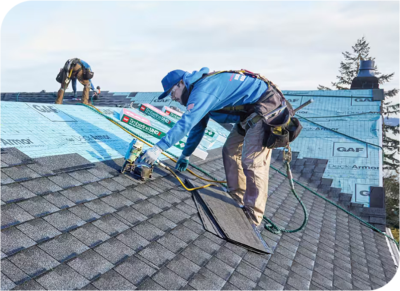 Professional Roof Repair