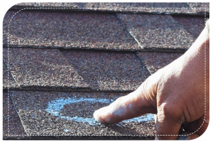 Read more about the article <strong>Roofers Companies</strong>